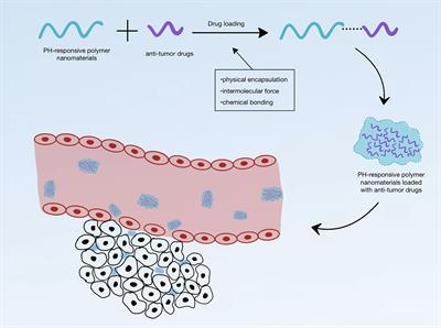 pH-Responsive Polymer Nanomaterials for Tumor Therapy